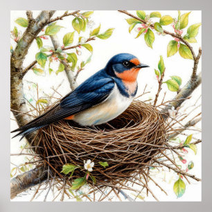 Poster Hirondelle Rustique Niche sur une Branche Couverte
