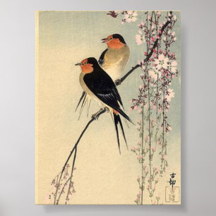 Poster hirondelles aux fleurs de cerisiers - Ohara Koson