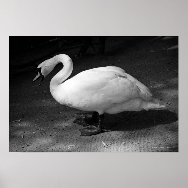 Poster HiSS (Devant)