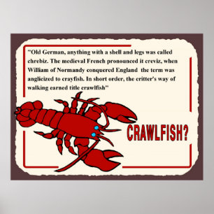 Poster Histoire de la langouste, de quel nom s'agit-il ?