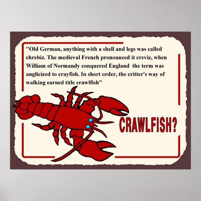 Poster Histoire de la langouste, de quel nom s'agit-il ? (Devant)