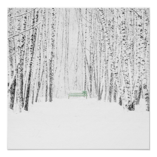 Poster Histoire de Noël blanche (Devant)