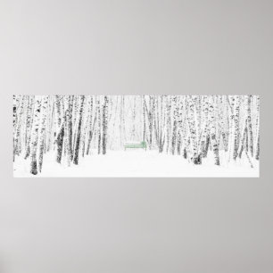 Poster Histoire de Noël blanche