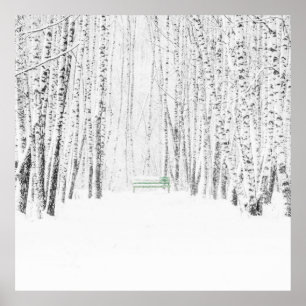 Poster Histoire de Noël blanche