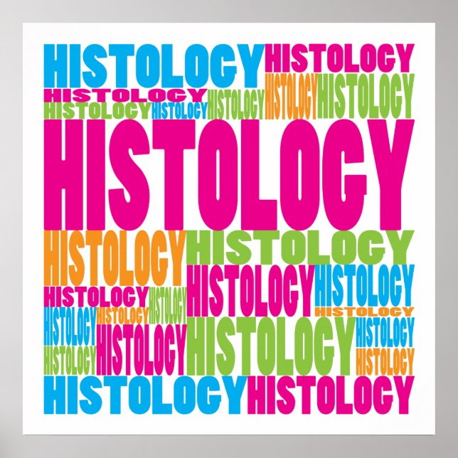 Poster Histologie colorée (Devant)