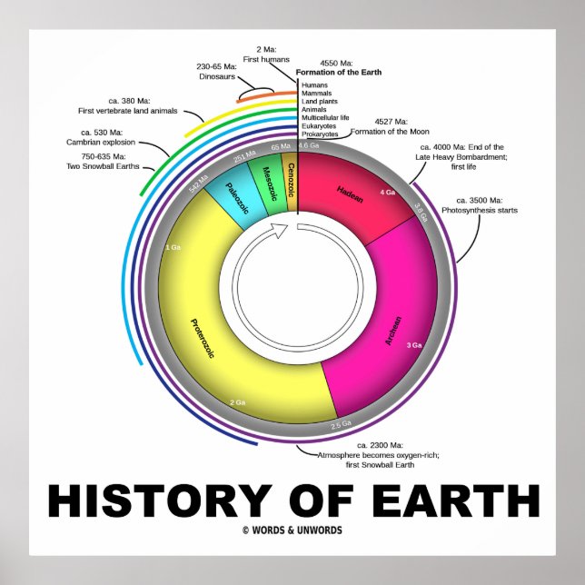 Poster History of Earth (Devant)