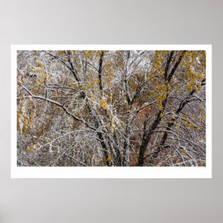 Poster Hiver