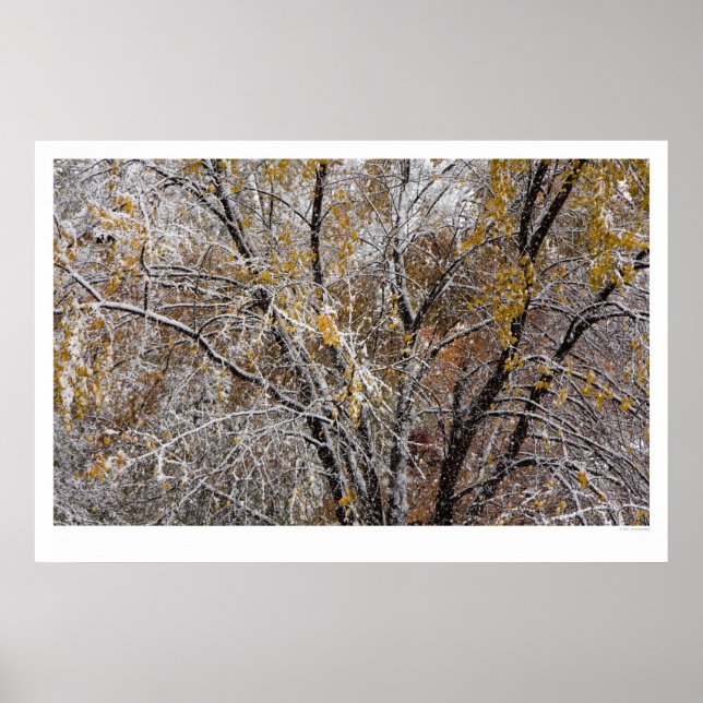 Poster Hiver (Devant)