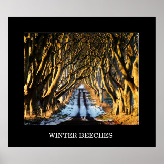 Poster Hiver