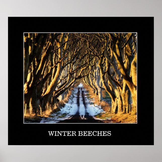 Poster Hiver (Devant)