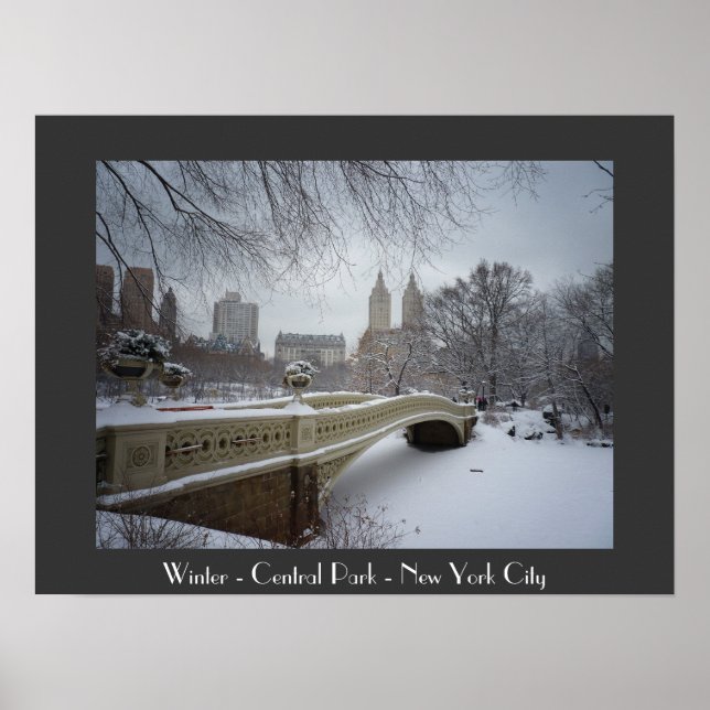 Poster Hiver - Central Park - New York City (Devant)