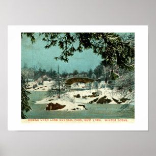 Poster Hiver, Central Park, New York City Vintage