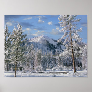 Poster Hiver dans le parc national de Yellowstone, Wyomin
