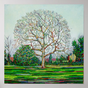 Poster Hiver de l'arbre à boeufs