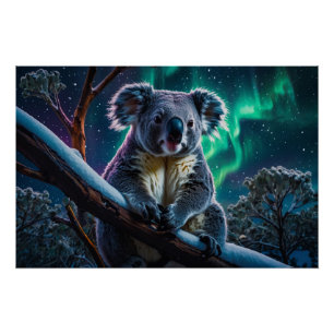 Poster Hiver Koala et Southern Lights