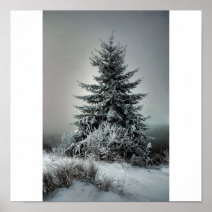Poster Hiver majestueux