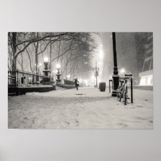 Poster Hiver New York - Nuit neigeuse - Bryant Park