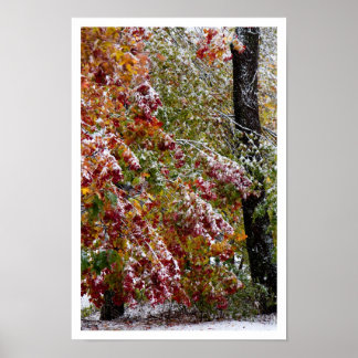 Poster Hiver précoce