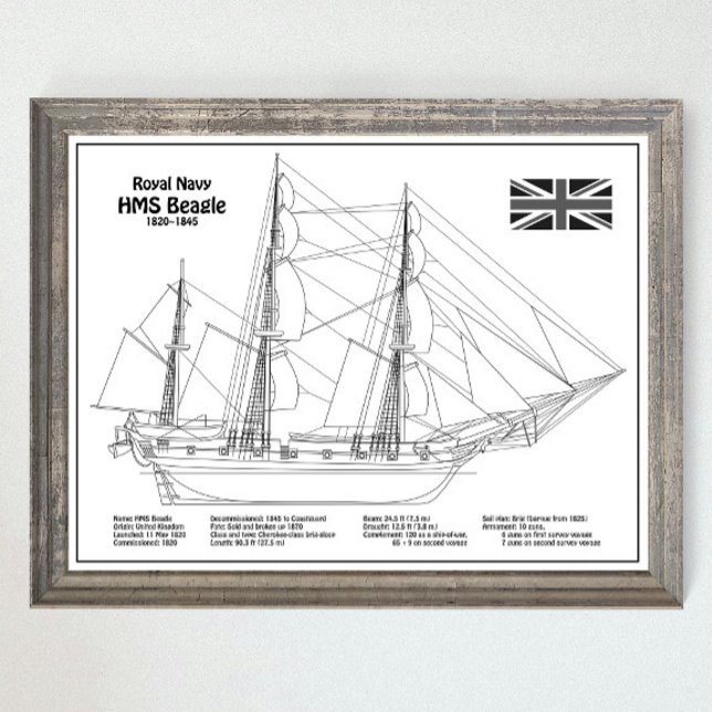 Poster HMS Beagle Tall Ship - Plan d'expédition BD (Créateur téléchargé)