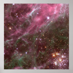 Poster Hodge 301, Tarantula Nebula