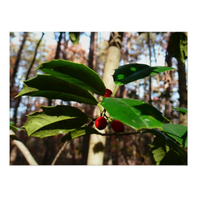 Poster Holly Leaves (Devant)