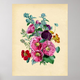 Poster Hollyhocks botaniques vintages
