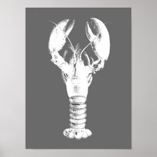 Poster Homard blanc sur gris / gris