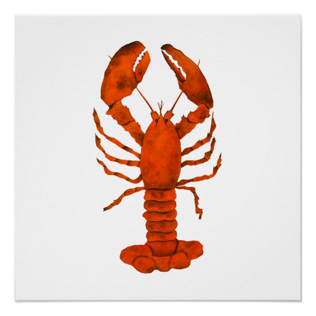Poster Homard rouge (Devant)