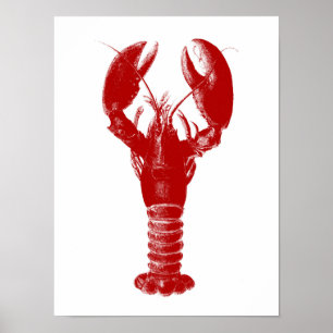 Poster Homard rouge profond sur blanc