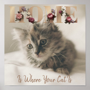 Poster Home Is Where Your Cat Is