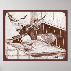 Poster Homecoming Homecoming Homes