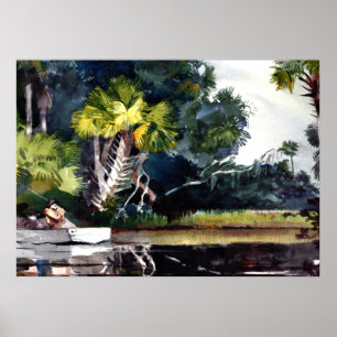 Poster Homer - Homosassa Jungle