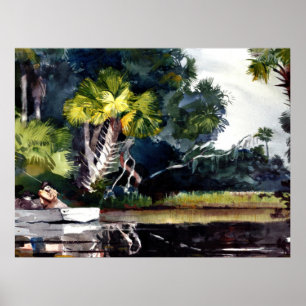 Poster Homer - Homosassa Jungle,
