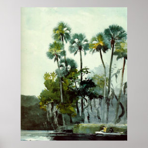Poster Homer - Homosassa River