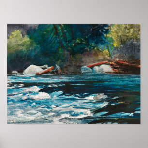 Poster Homer - Les Rapids, Hudson River, Adirondacks