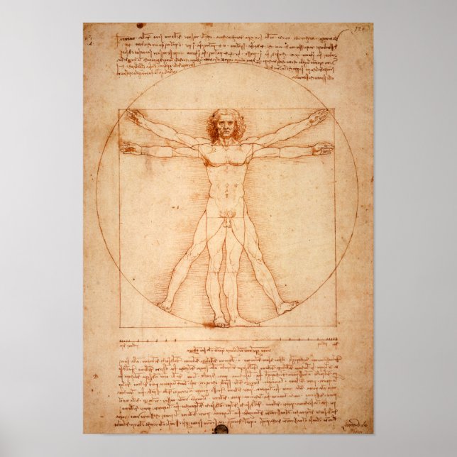 Poster Homme vitruvien de Da Vinci (1487) (Devant)