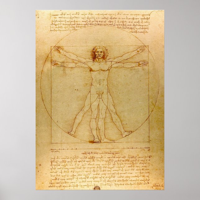 Poster Homme vitruvien par Leonardo da Vinci (Devant)
