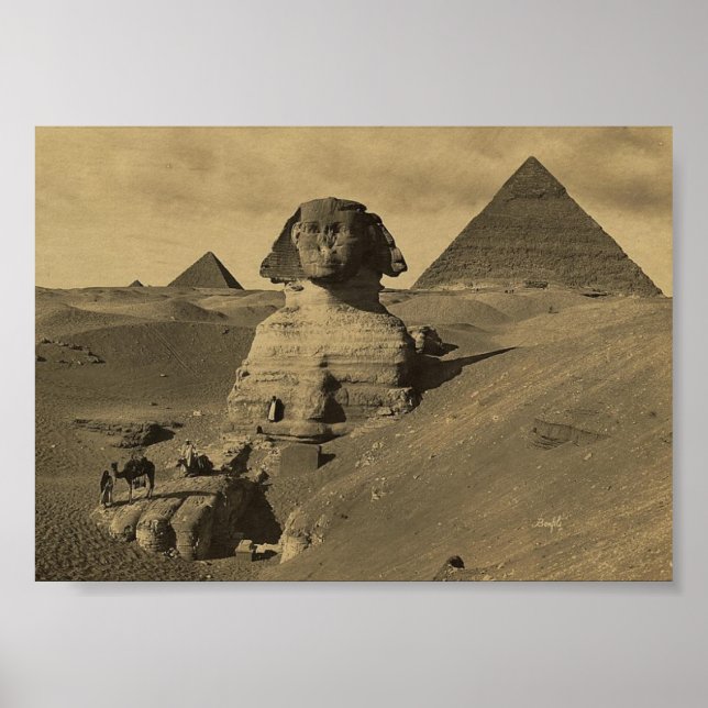 Poster Hommes et chameaux sur la patte du Sphinx, Pyramid (Devant)