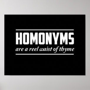 Poster Homonymes