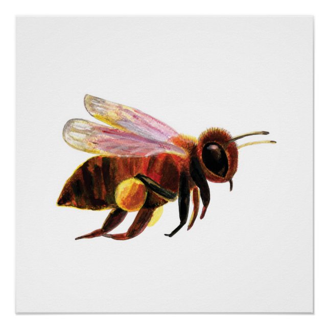 Poster Honey Bee Flying (Devant)