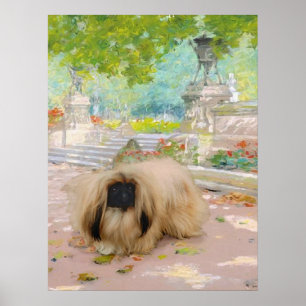 Poster Honey Pekingese