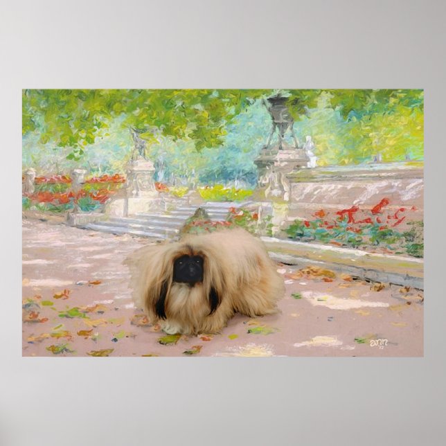 Poster Honey Pekingese (Devant)