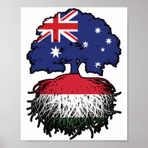 Poster Hongrie Australienne Australie racine d'arbre