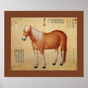 Poster Hongyuzuo ~红 座 玉~ Dix Étoiles ~Giuseppe Castiglion