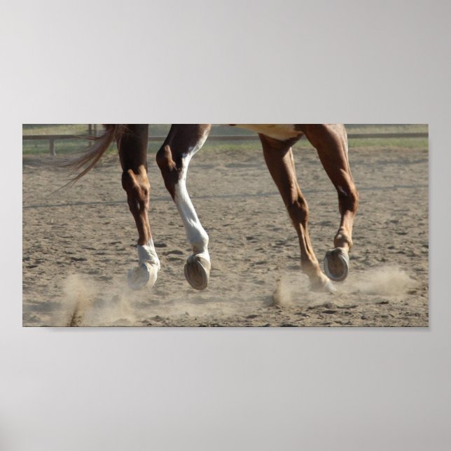 Poster Hooings en mouvement (Devant)