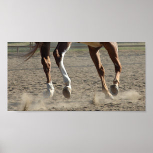 Poster Hooves in Motion