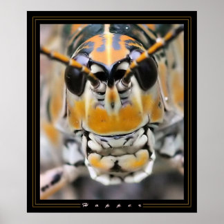 Poster Hopper
