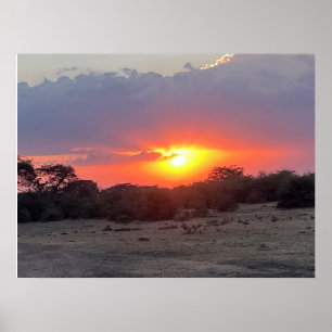 Poster Horizon Doré – Coucher de soleil Safari Africain P