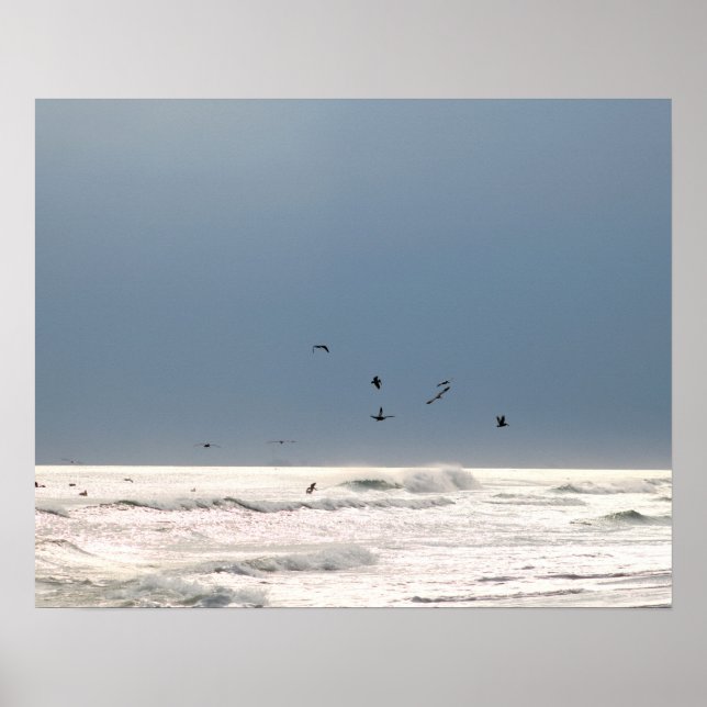 Poster Horizon Océan avec Pélicans Brown Couleur 16x20 (Devant)