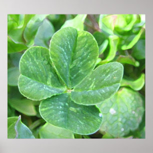 POSTER HORLOGE À QUATRE FEUILLES